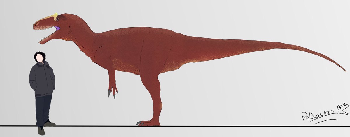 PaleoLazo's tweet photo. @Paleo_Lazo_art https://t.co/nHV6XGOSu9