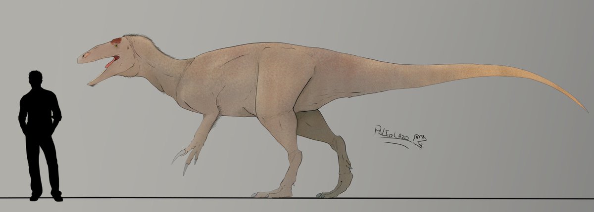 PaleoLazo's tweet photo. @Paleo_Lazo_art https://t.co/nHV6XGOSu9