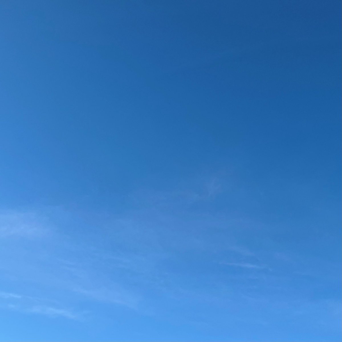 me_chat_3ne's tweet photo. おはよう、今朝の空です #朝散歩

熊本の地震に胸が痛みます。
どうか、被害が拡大しないことを祈っています。 https://t.co/OWueGUGTGi