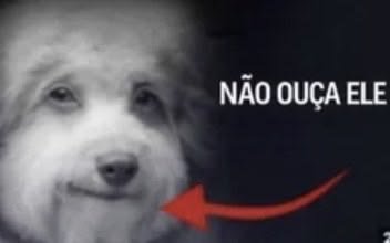 jhonnbtw's tweet photo. KKKKKKKKKKKKKKKKKKKKKKKKKKKKKKKKKKKK vai ler bem assim na pqp bixo https://t.co/0ubyTHIYeY