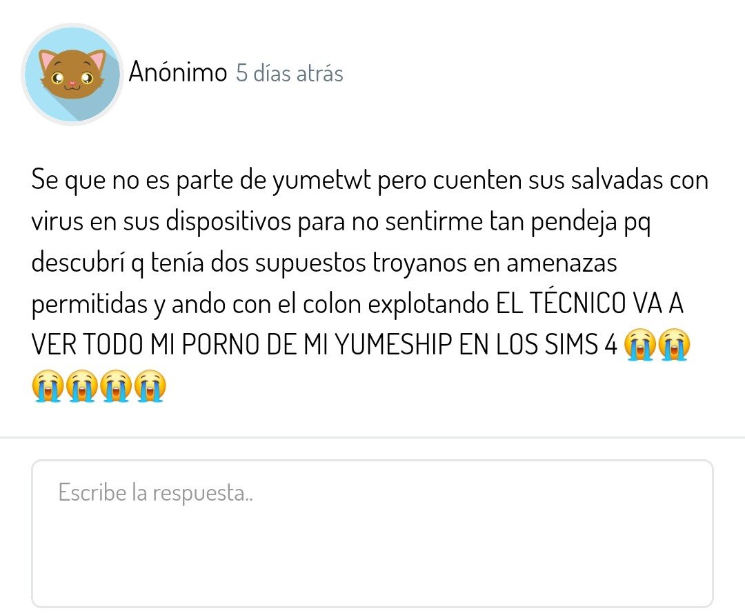 yumeculones's tweet photo. estoy llorando fuerzas anon — 🦄 https://t.co/yeJcY8tICM