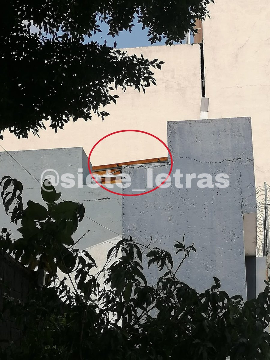 siete_letras's tweet photo. En esta azotea tienen a los perros K9 de la @FiscaliaCDMX:

Sherlock, Kai, Káiser y Jack viven ENJAULADOS.

@ClaraBrugadaM presume una “ciudad animalista”: FARSA.

No hay $ para la Unidad, dice PDI.

Dejaron morir a Boss, callan, no hacen NADA. https://t.co/XdAaGzLCb5