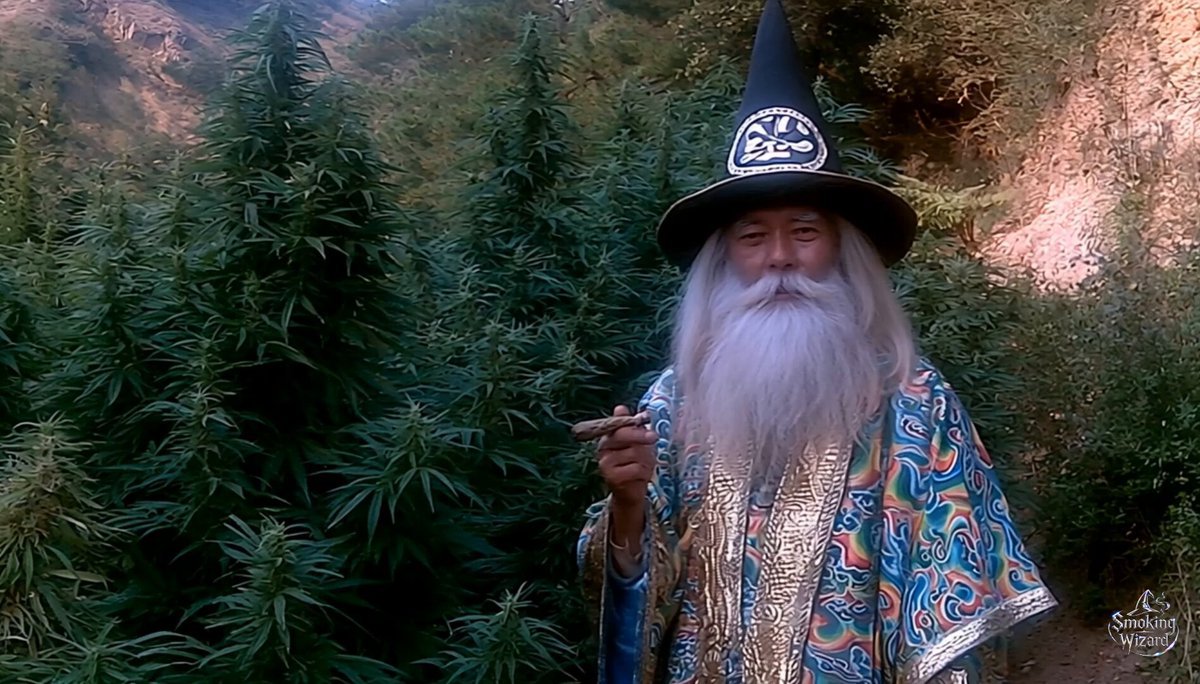 gourmandalf's tweet photo. $WIZARD is easily worth millions.

It keeps printing views with top tier video, speak to normies, and it has that artist-token appeal with music that people instantly connect with. Right now, adoption feels like a gift. https://t.co/k69ileU4iv