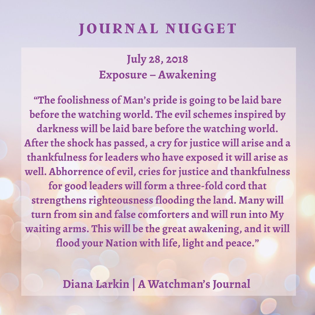 TheDianaLarkin's tweet photo. Two Journal Nuggets from 8 and 9 years ago! These are both very powerful entries! https://t.co/m03ti6N58q