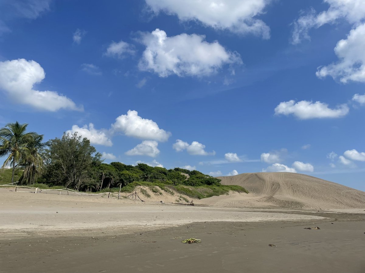 eryjimbb's tweet photo. Dunas de Chachalacas https://t.co/PwA0i8jGEZ