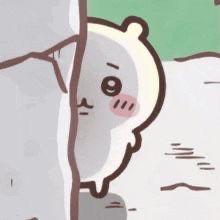 dolliyara's tweet photo. currently trying to find a video so i can eat my omad meal i take this very seriously NOBODY MOVE… https://t.co/NU5yojzmGs