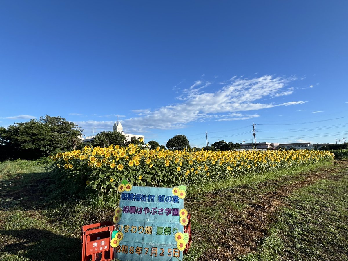 tonsoku369's tweet photo. 最高の朝だよ(◜ᴗ◝ ) https://t.co/rfIfsdeRA2
