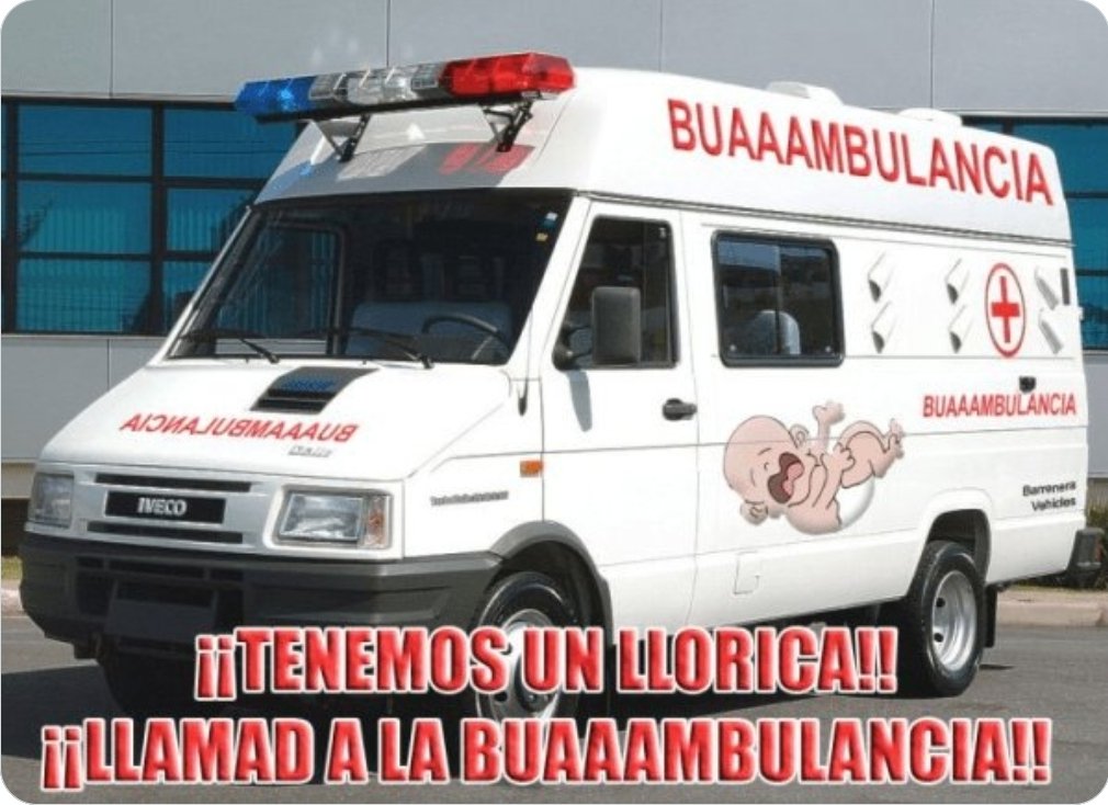 Piñolo tweet media