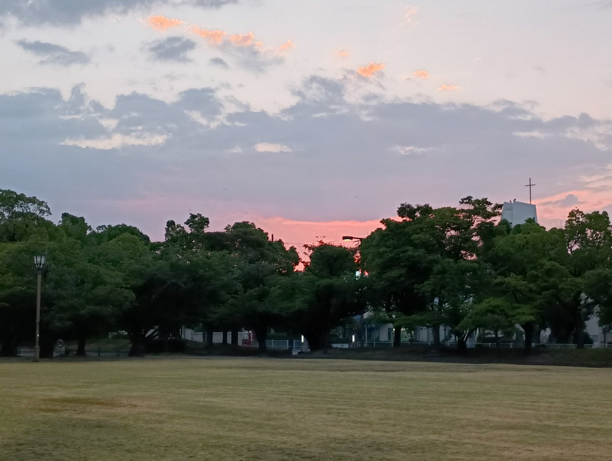 coo_sy's tweet photo. おはようございます！
水曜日の朝ラン14km🏃
カブトムシ少年今日はメス1匹捕獲してた👦✨ https://t.co/NKRa1k1pRw