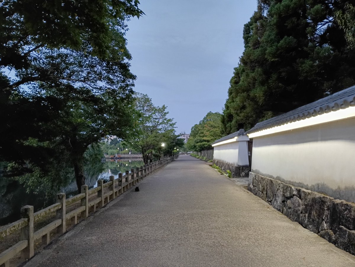 coo_sy's tweet photo. おはようございます！
水曜日の朝ラン14km🏃
カブトムシ少年今日はメス1匹捕獲してた👦✨ https://t.co/NKRa1k1pRw