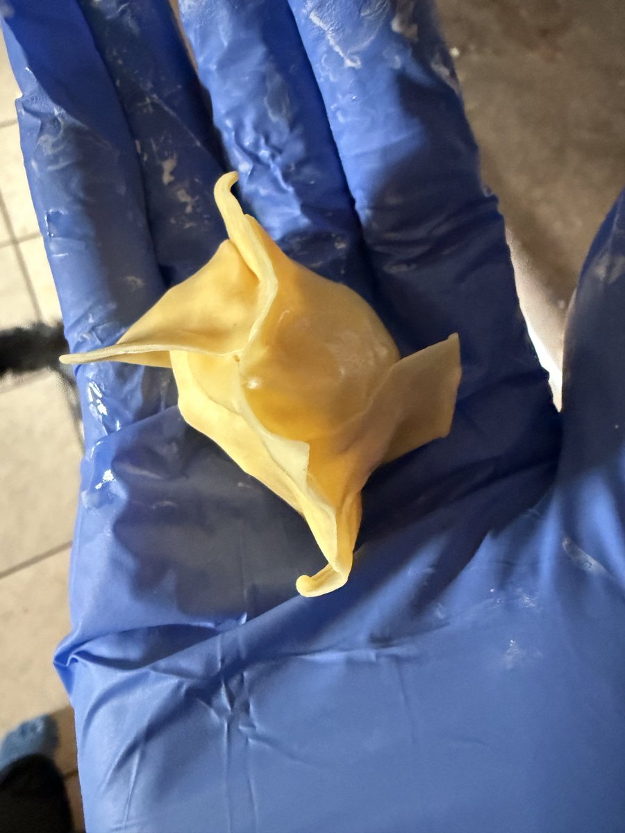 Phrantastic22's tweet photo. POV: We got crab 🦀 rangoon at home!! 👀 https://t.co/TQmcV29M4G