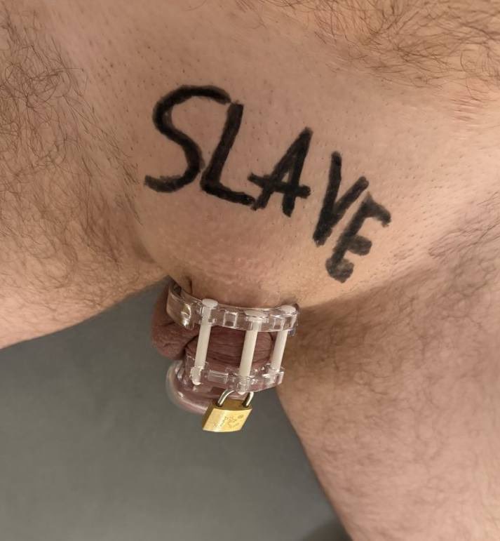 JaySmith0F's tweet photo. @CashMaster2007 look at u caged up🤣🤣 
secret subby fggt🤣 
know your place below my soles boy 

#findom #piggy #cashmaster #paypig #findommaster #faileddom https://t.co/RBu5lzGQ86