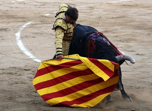 forostoreros's tweet photo. ¡Buenos días! #FelizMiércolesATodos 
Hace 16 años la izquierda prohibió los toros en Cataluña; la prohibición fue declarada ilegal. 
https://t.co/wNOZgEb5EN Pero quienes deben tomar decisiones para recuperar los toros en Cataluña no actúan. #CataluñaEsTaurina ¿Quién torea? https://t.co/tlnOXRNtis
