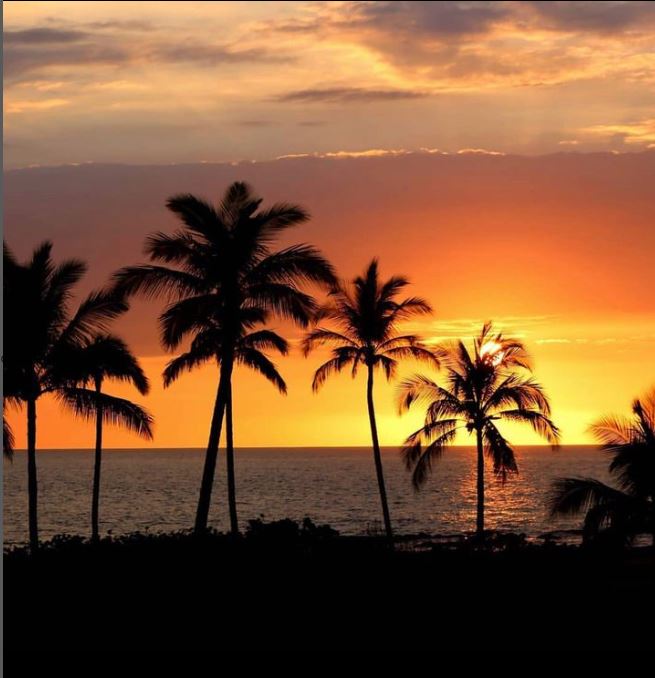 nationalguide99's tweet photo. Sus vacaciones comienzan Aqui! CARIBBEAN ISLND HOTEL/ San Andres isla Colombia// Reservas (57) 316-3879160 / 318-3620163 vea videos oficiales https://t.co/pBJmGwXNXH Apartamentos y Aparta Estudios con Balcon/ centro sobre las playas SPRATT BIGHT peatonal https://t.co/tzovyprlx2