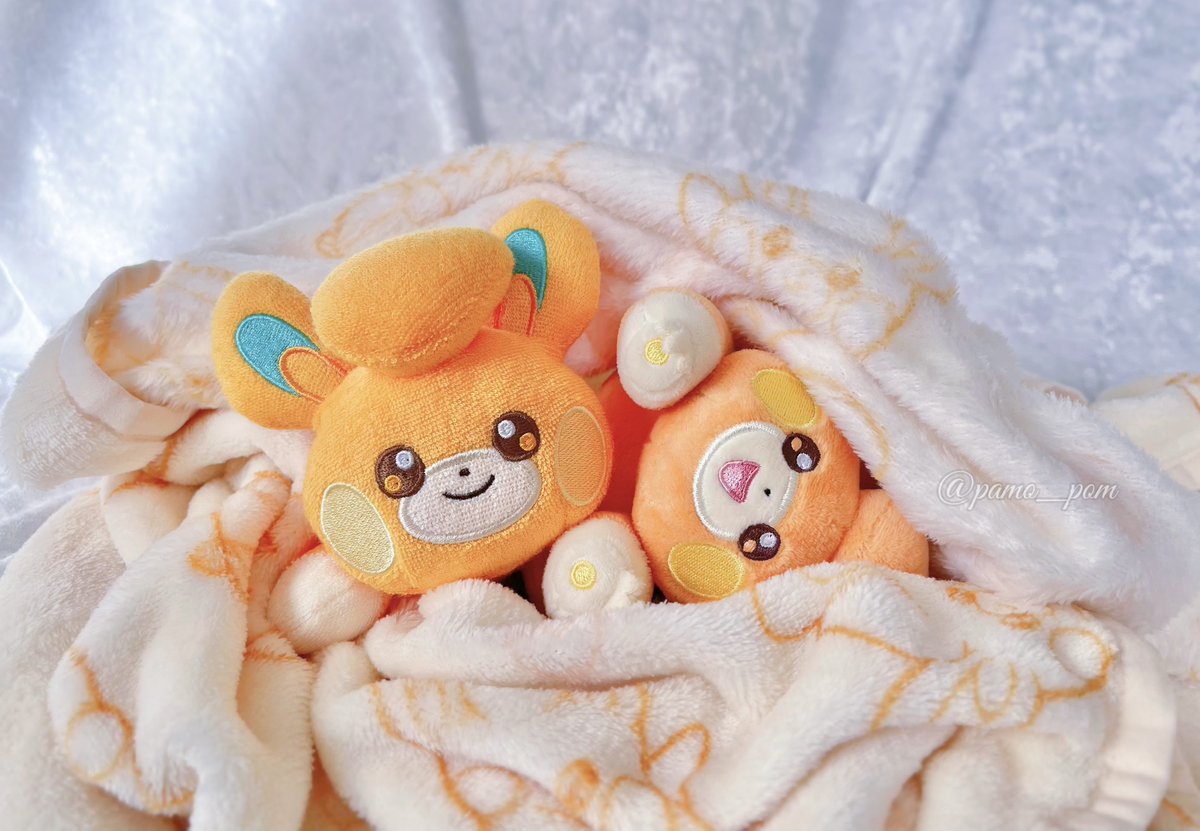 pamo_pom's tweet photo. あさだよ、おきよー✨️ https://t.co/TpE8vhXfV0