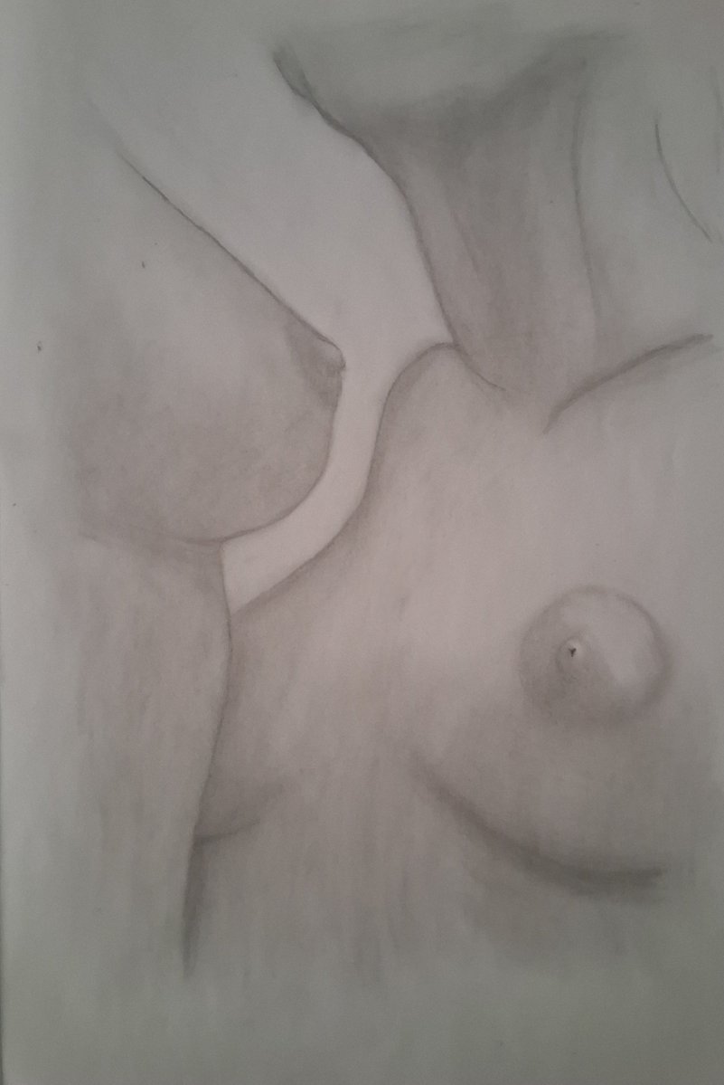 TribbleArt's tweet photo. @CeCe___Rose Confirmed. The female body itself usually gets a like....one of the best forms of inspiration. https://t.co/n8a9O63u1E