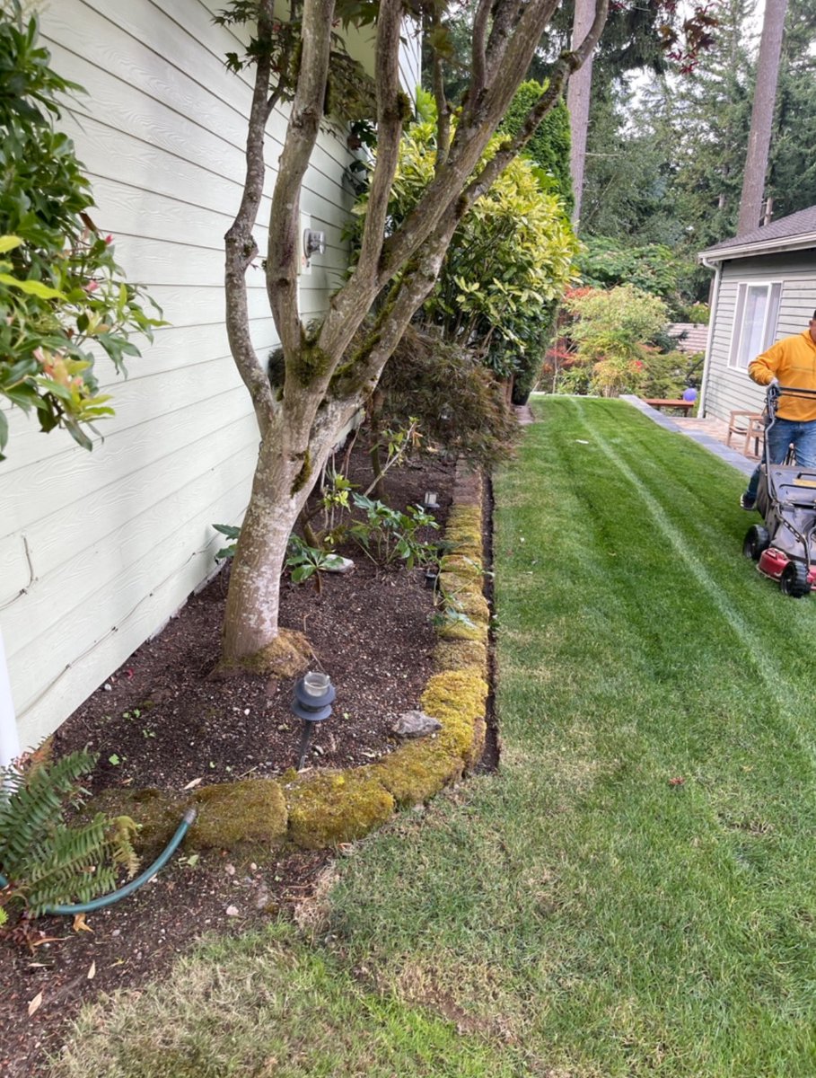 Cooperlandmaint's tweet photo. Contact us today to schedule your lawn maintenance service!
#CoopersLandscapeMaintenance #LawnMaintenance #LawnServices 
https://t.co/9z4EvXwNNz https://t.co/299NKMDLQ9