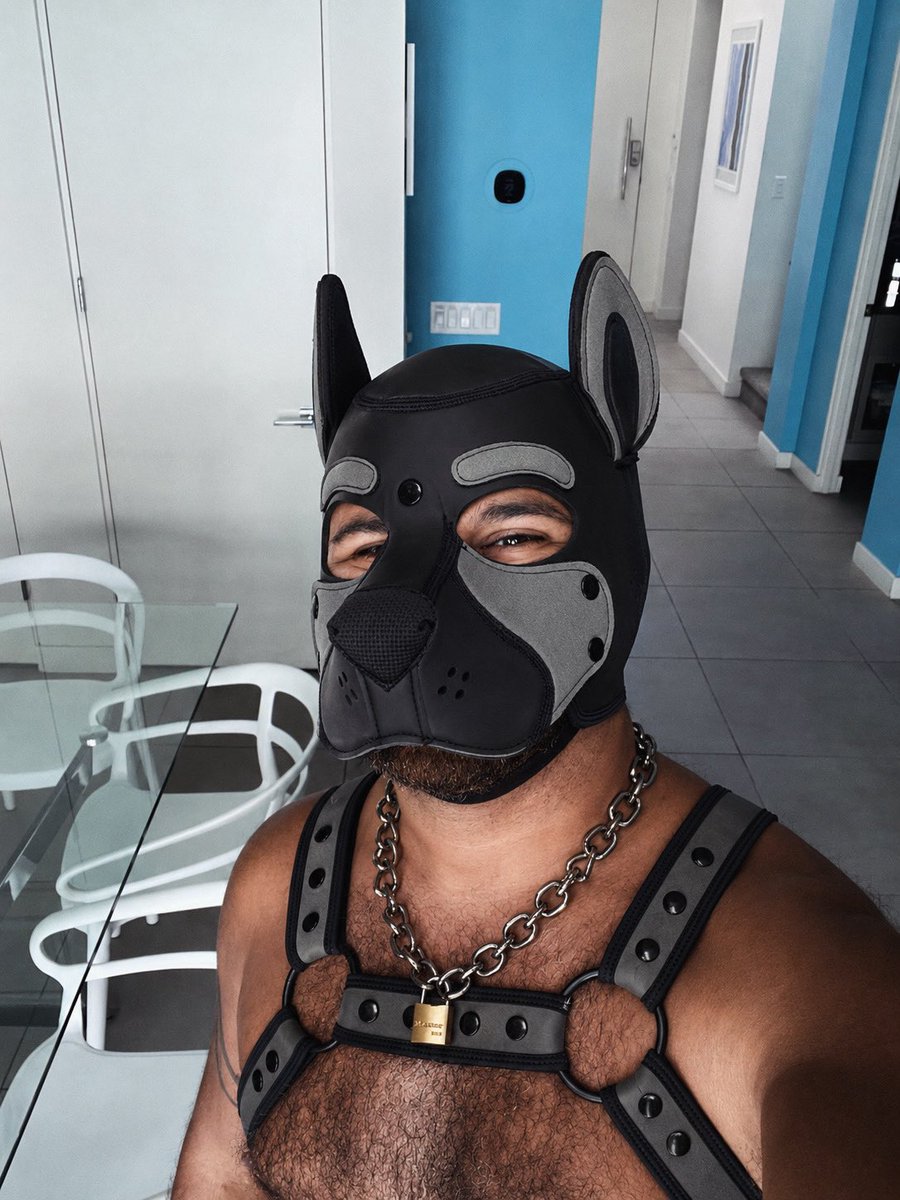 TobyChainsXXX's tweet photo. Ruffy ruff! #Arooo #wruff #boytoby #goodboy #owneddragonsub #chastity #smalldickhumiliation #vaginoplastyjourney #subpup https://t.co/lShhYBNQz3