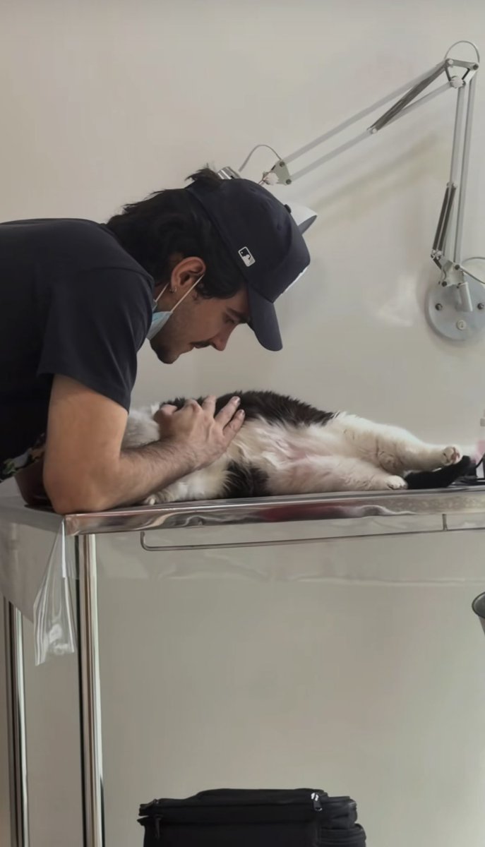 jaothecure's tweet photo. “se não for pra comprar nosso carro, se não for pra vestir nossos filhos” 

e aí ele vai lá e coloca um vídeo deles no carro e em seguida o joão com o vicente, papais de gato 😭 https://t.co/QUyGK6BBuT