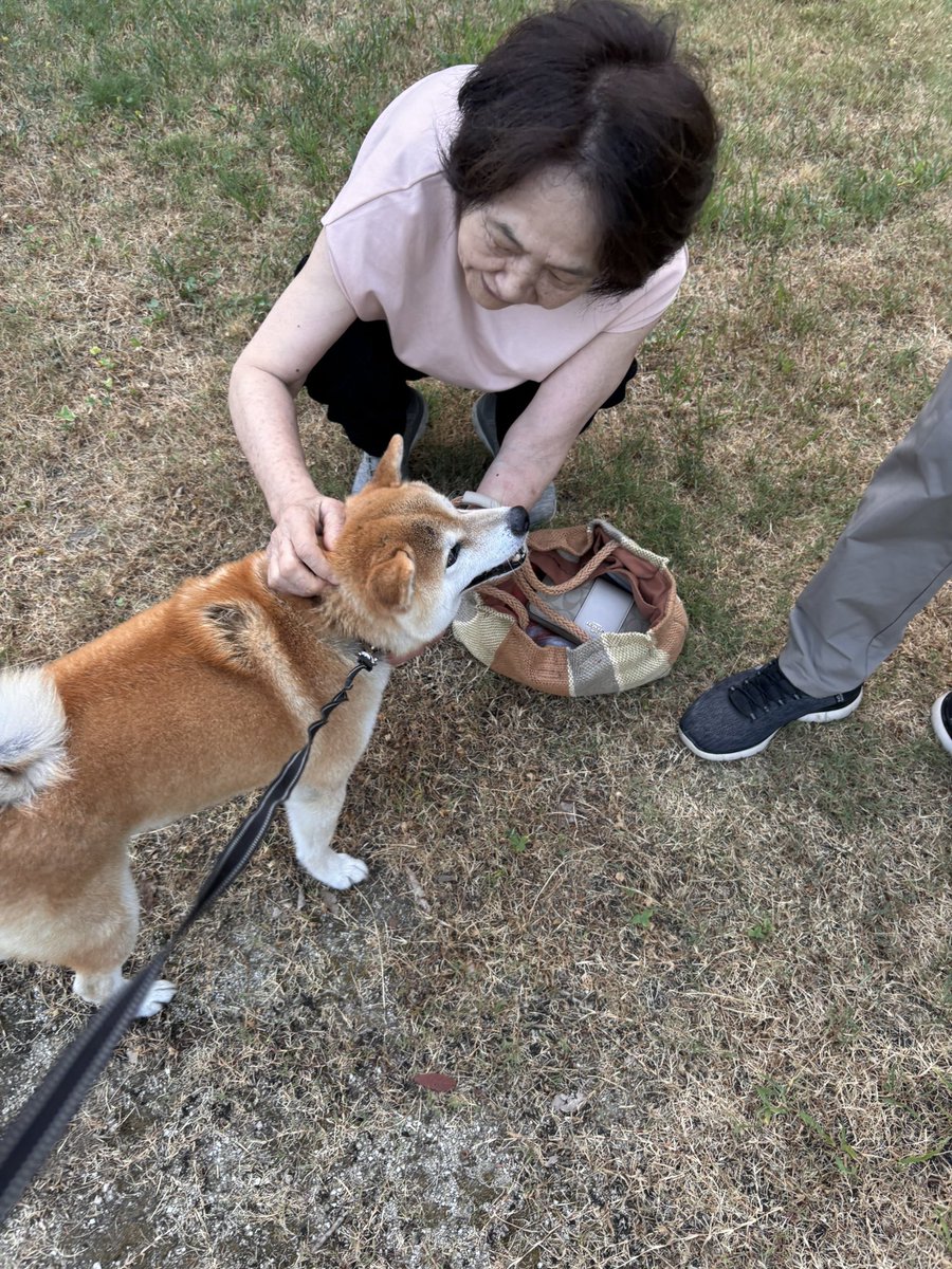 5vmM8's tweet photo. 飼い主に会えてとても喜んでいるわんちゃんでした。さー仕事行こう https://t.co/lUdSmAEpnX
