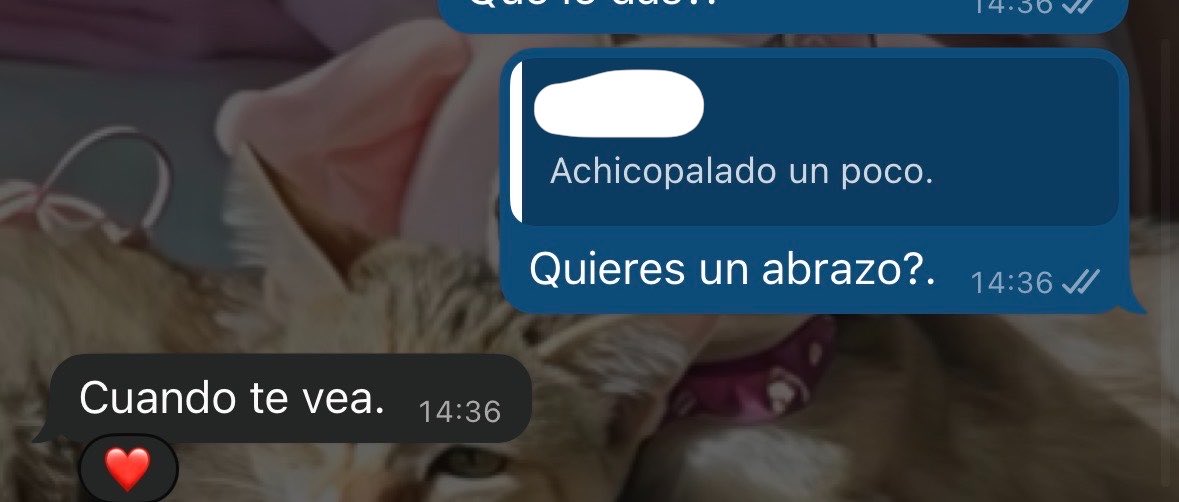 alisonbarredo's tweet photo. Creo que si estamos ligando 🫣 https://t.co/eCoScDHD6X