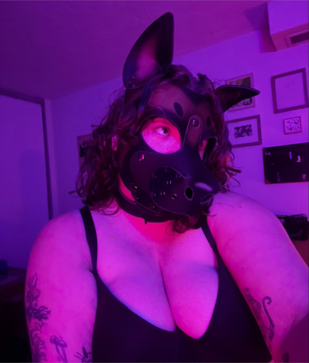 dawgafterdark's tweet photo. owner’s favorite 💜⛓️‍💥 https://t.co/w7ichLXz7h
