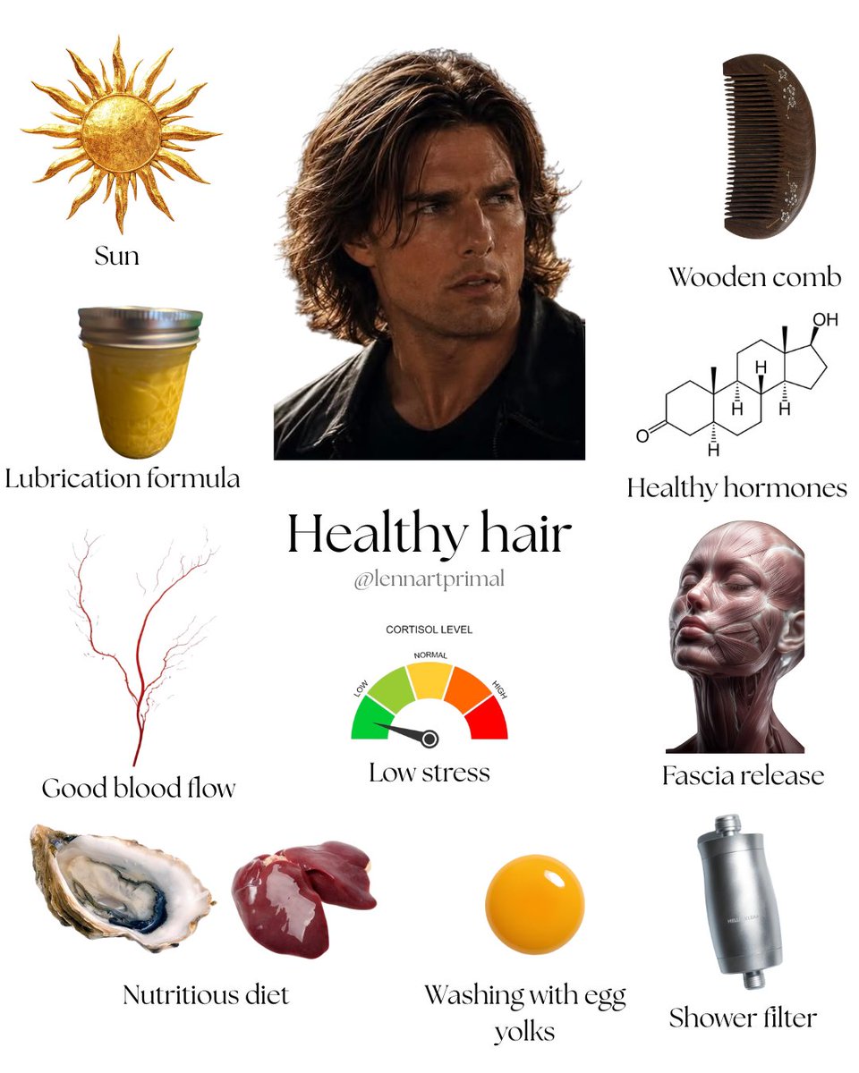 lennartprimal's tweet photo. Healthy hair https://t.co/QYeofghP5H