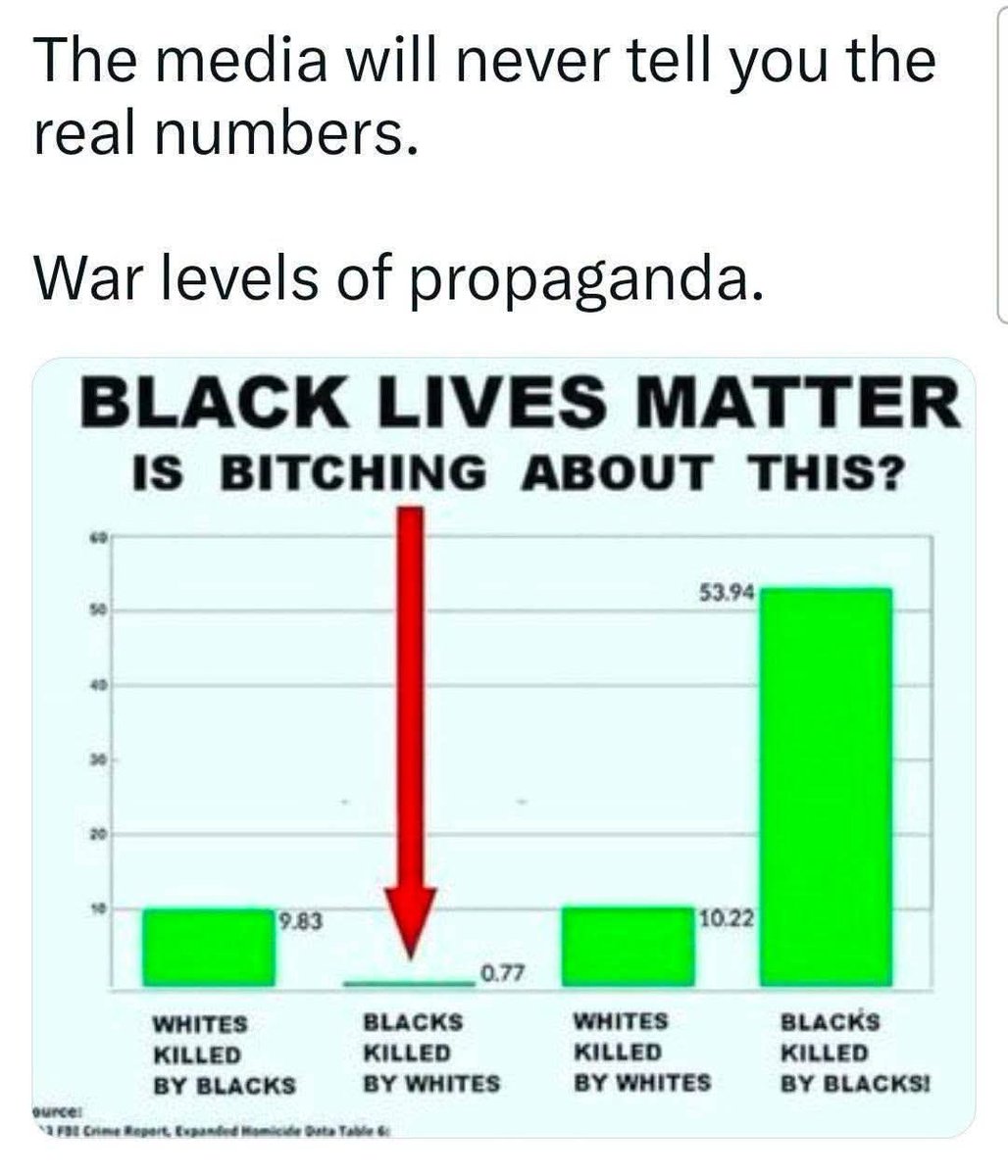 Real_Ames's tweet photo. Funny how some statistics get nonstop headlines while others barely get mentioned.

Violence is violence. Murder is murder. Victims matter regardless of their race, and the public deserves the whole picture—not just the numbers that fit a narrative.

Facts shouldn't be controversial.