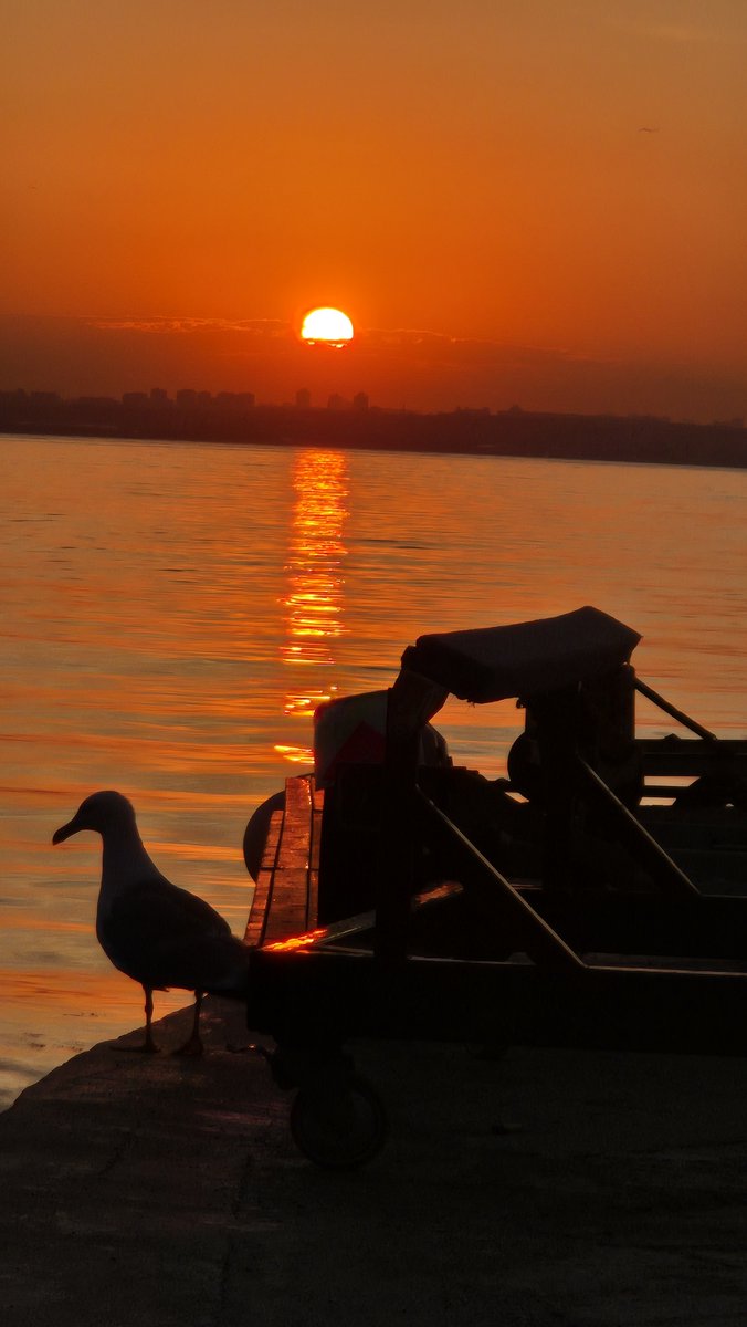 glykon's tweet photo. Giden, yiten, biten...
#somewhereatKastamonu https://t.co/UaMpGvk9cD