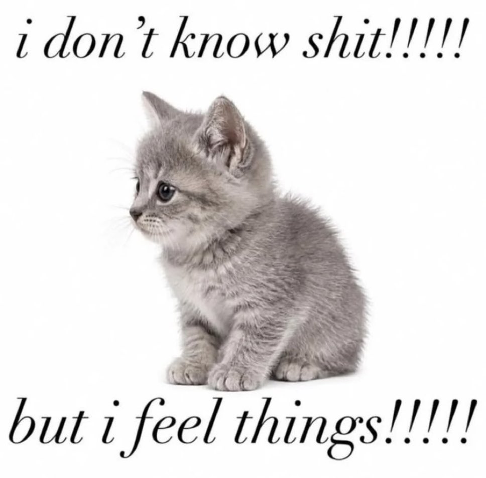 literallymecats's tweet photo. https://t.co/uK2OphVzaB