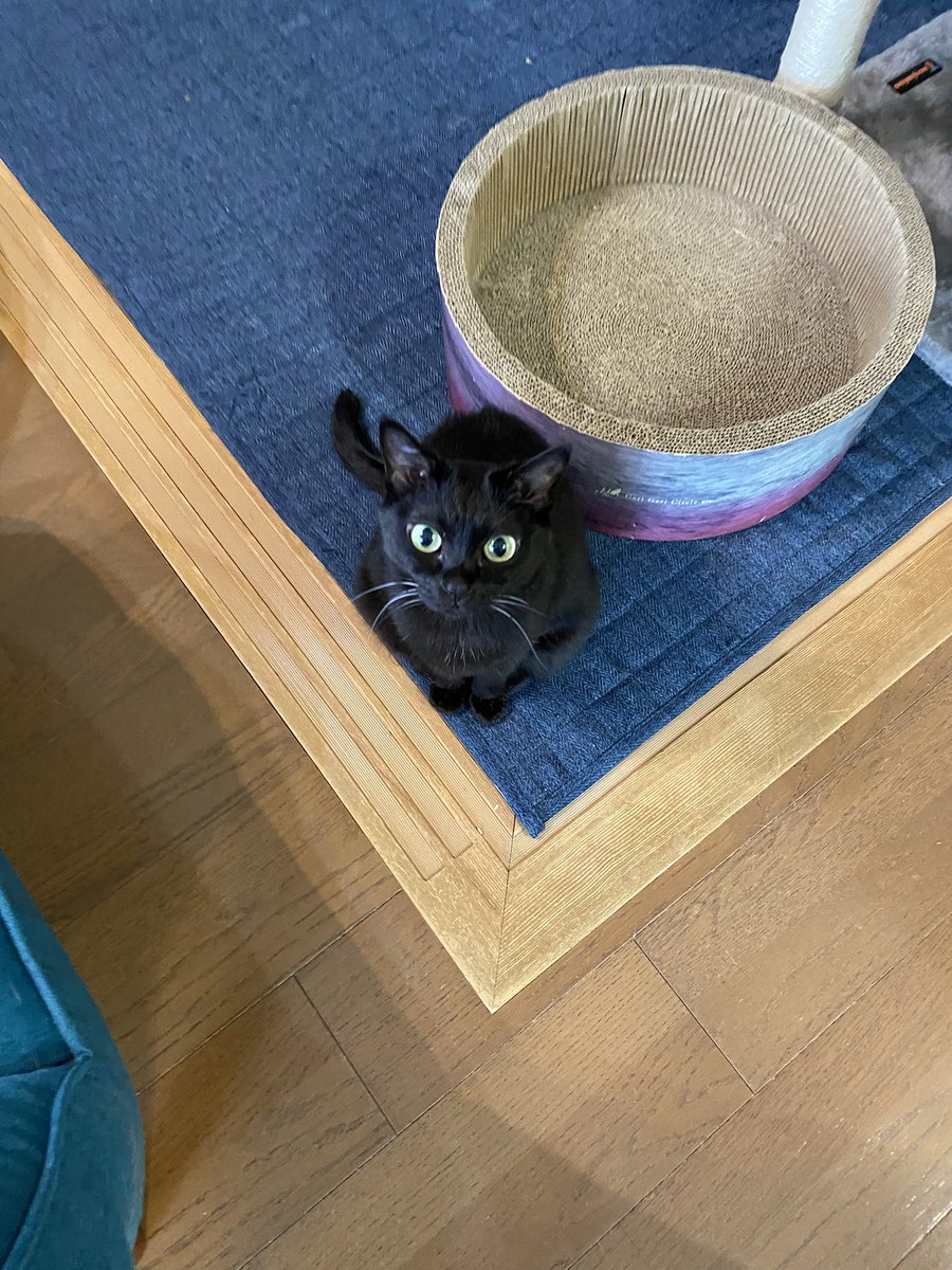 emptyblue7's tweet photo. おはよう https://t.co/7qhIvtR502