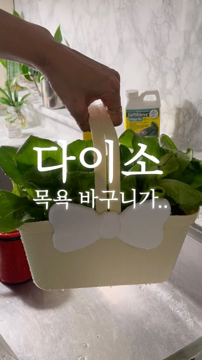 plante___'s tweet photo. https://t.co/aRSyedDsO1