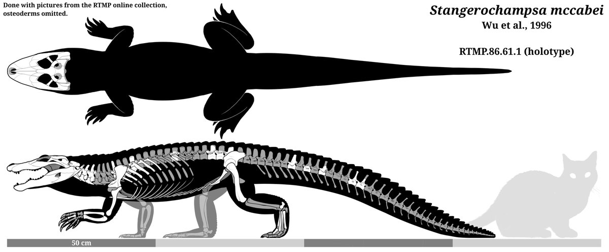 LiterallyMiguel's tweet photo. Xilousuchus, dated at 244.6 ± 2.8 Million years old, its the oldest named archosaurs, and a pretty derived one, indicating they diversified VERY early right after the Permian ended

and Stangerochampsa, a tiny-headed late cretaceous alligatorine with round, crushing teeth https://t.co/LkNLLUquis