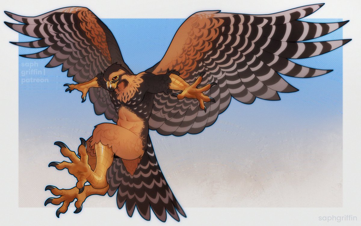 saphgriffin's tweet photo. for the avian enjoyers out there 🦅 https://t.co/FpPJG7hq8Q