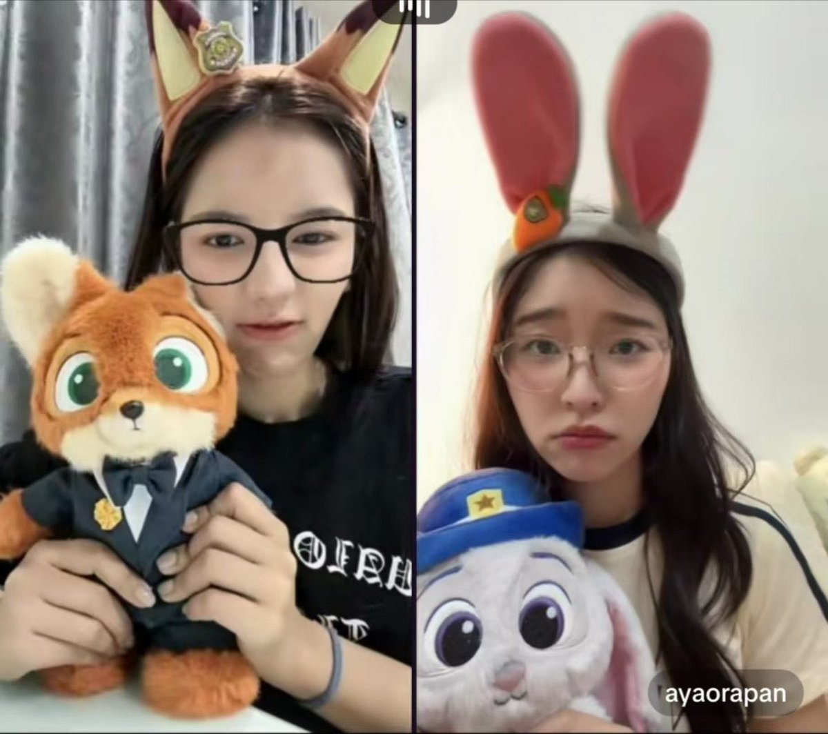 Momooo425's tweet photo. 我要彻底疯狂了🫣
P’mie和P’aya直播一直带着我送的发箍
这是我准备了半个月的礼物🎁
谢谢你们喜欢，太可爱了！🦊🐰
#mieaya #PlusA https://t.co/TdDOualawQ