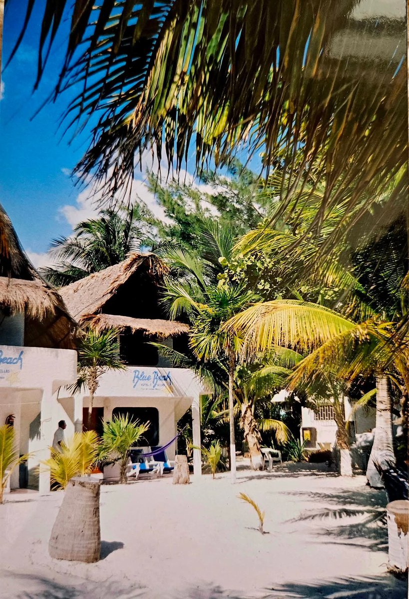 PlayaRiviera's tweet photo. Playa del Carmen está de fiesta. Recordar su historia es preservarla. Nunca dejemos que pierda ese brillo que la convirtió en nuestro hogar. 

📷 Petra Pbk, Pedro Rivero Mena y Crédito a quien corresponda https://t.co/V3b625onPW