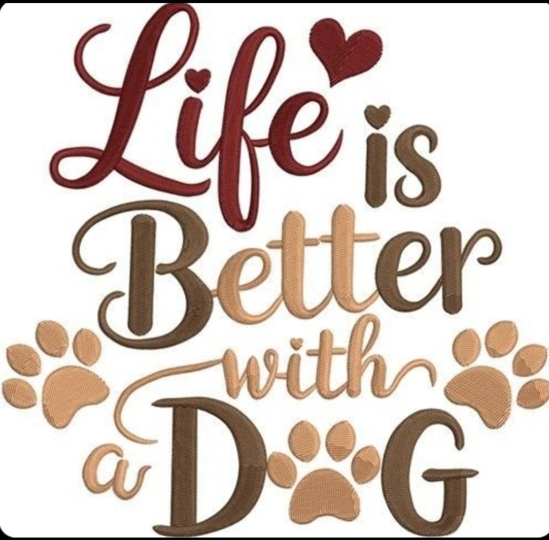 MaddyLisa0's tweet photo. My dog doesn’t just follow me—he completes me. 🐾💕 Every adventure is better with my favorite companion by my side. Ready for more fun, contents, and unforgettable moments? 😊 Send me a message and let’s connect! 💌
https://t.co/1XiEUP97HQ… https://t.co/AIxcy0QW9b