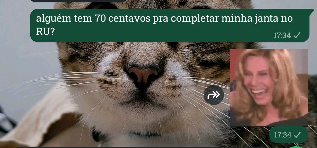 g4ldin's tweet photo. dia 48 de julho.... https://t.co/u3JCAQmOEi