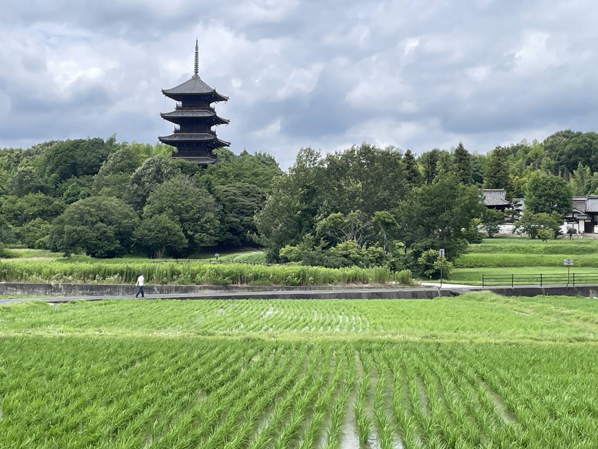 tukitanu's tweet photo. 【 岡山旅行10－備中国分寺五重塔 】
各層の屋根の大きさが上と下とであまり変わらないのでボリューム感がある。田園風景のなかに立つロケットのような趣きがある。1層目に十二支の木彫があってかわいらしい。

1184年再建で塩飽大工の作という。塩飽大工とは塩飽諸島に本拠があり、岡山県や香川県に作品が多いそうだ。全然知らなかった。前に見た広島県の大崎上島の5階建て旅館群などもその流れなのかもしれない。

2026.07.15、岡山県総社市
https://t.co/p0eg3rlsTF
