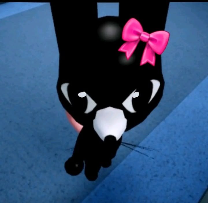 Mimi_emn's tweet photo. Do any coers wanna be friends on roblox? i badly need friends who are interested in roblox n Cortis 

This is my niche fr 😔✋️✋️✋️ https://t.co/qacfUPHRtp
