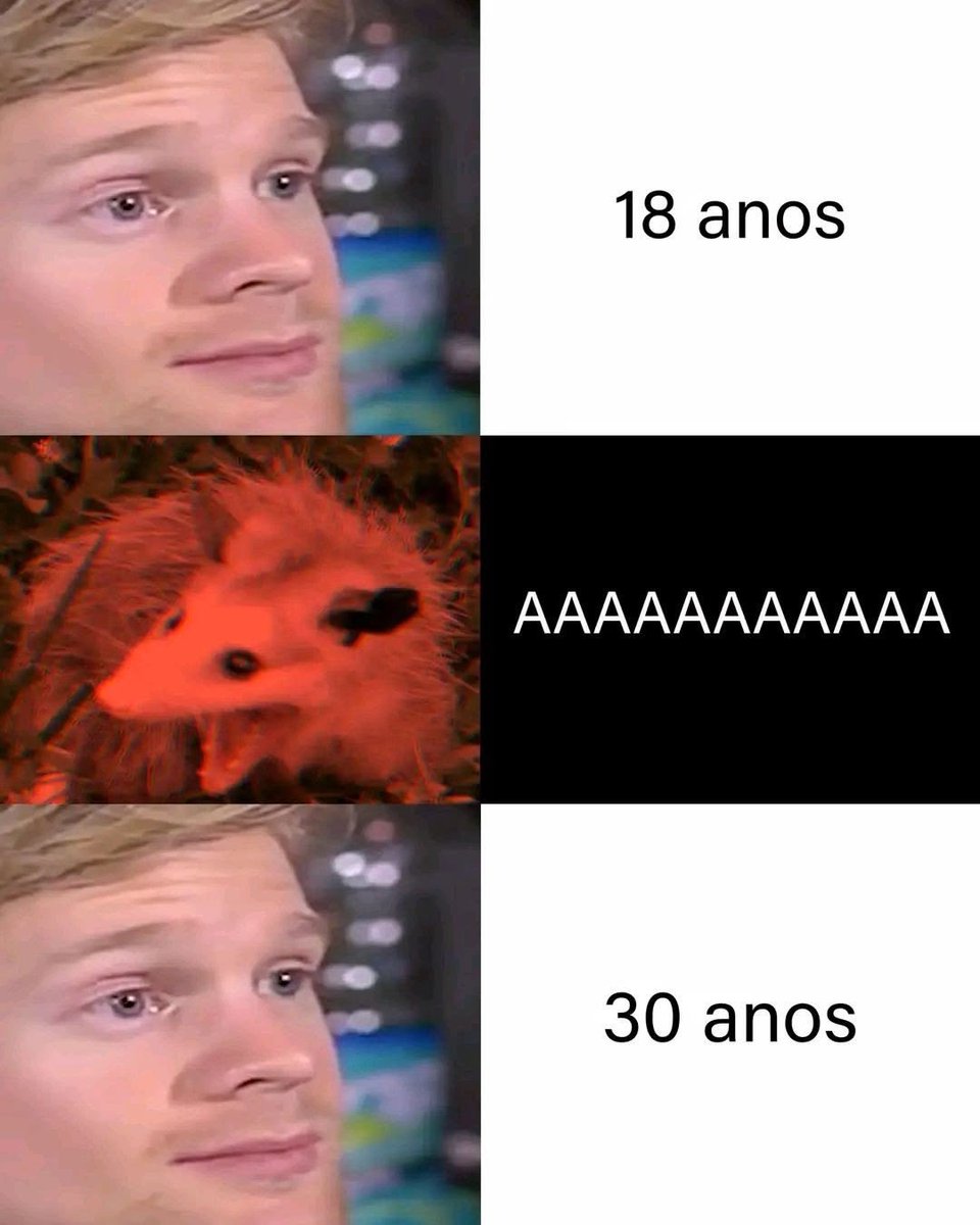 shitpostverdade's tweet photo. https://t.co/Gol8IXcRrX