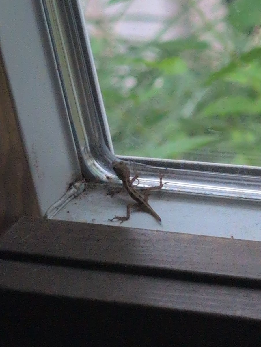 KillrBunn3's tweet photo. why are you in my house https://t.co/yF8eCNywXr