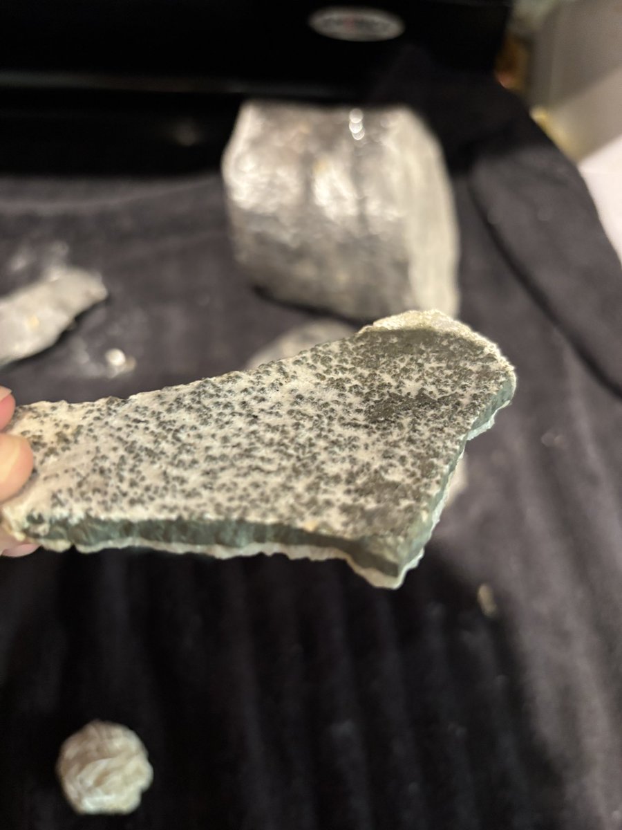 CoffiCrow's tweet photo. My grandpa used to work in a coal mine and he just gave me a bunch of fossil for my birthday I can recognize most of them but I don’t know what these three are .
Any ideas ? https://t.co/urXbbVgwRY