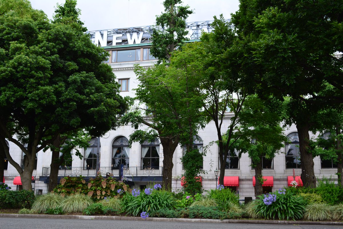 madox0115's tweet photo. おはようございます
2026/07/29

Nikon D5200
AF-S DX ZOOM-NIKKOR 18-55mm f/3.5-5.6G VR https://t.co/EZzCKDC7wh