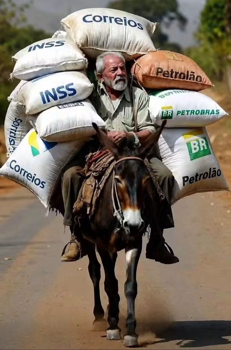 2610_lobo's tweet photo. @paulo1123944 Olha o ladrão https://t.co/ZRDNW13NWh