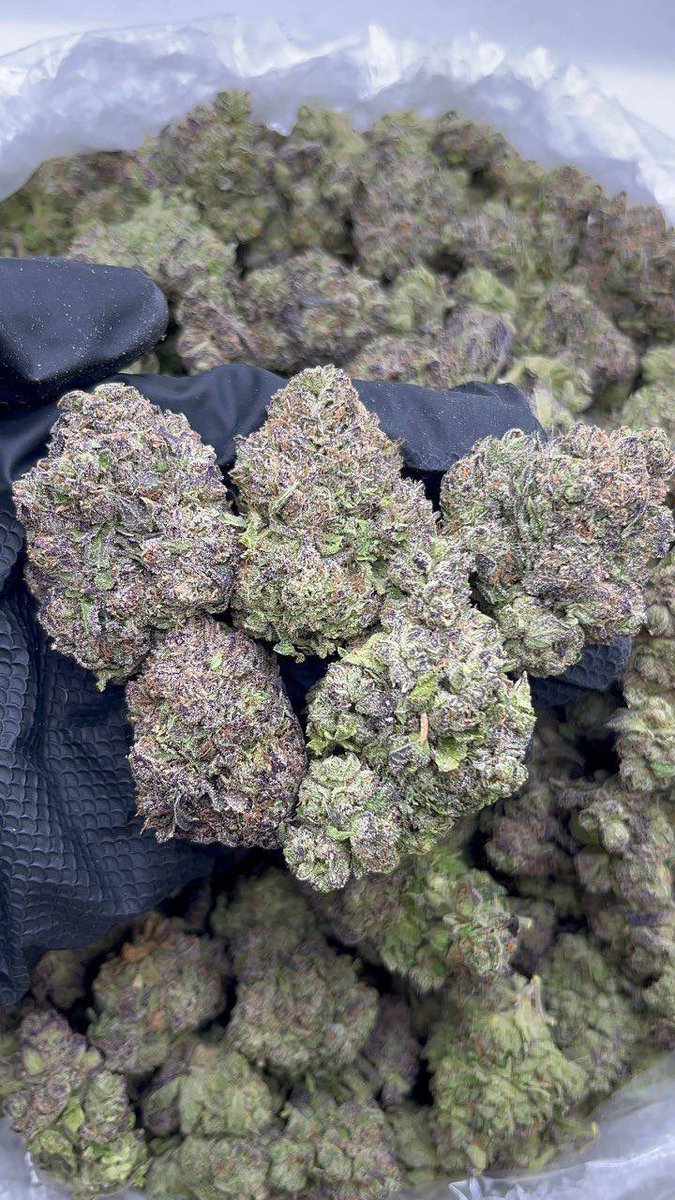kushmatt_'s tweet photo. Purple Runtz https://t.co/LnIjCUVNuK
