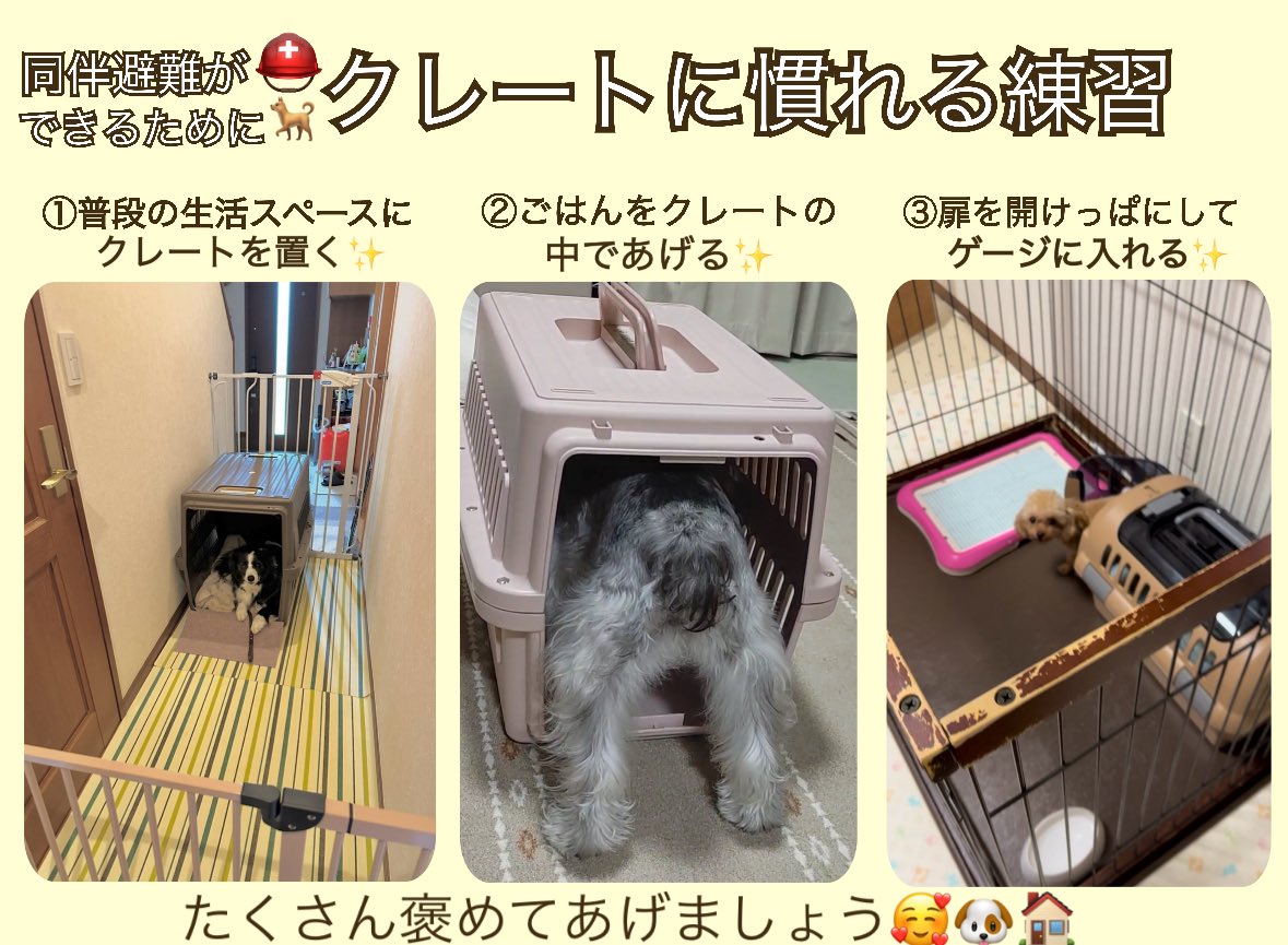 Otonon0128nikki's tweet photo. day 2095🍀

皆様、地震の被害は大丈夫でしょうか？
突然の大きな揺れにびっくりされたことと思います。

◉ペット防災⛑️🐾

・避難所で必須となる愛犬の命を守るクレート🏠

・準備しておくと安心！避難グッズ💨

・電気が止まっても過ごしやすい サマーカット🛁✂️

災害時、ご家族にペットがいる方はまず #同行避難 を。
同行避難は、ペットだけではなく飼い主の安全を確保することにも繋がります⛑️🐾
#ペット災害危機管理士 #ペット防災 #地震

最後までお読み頂きありがとうございました🙇🏻‍♂️
皆様引き続き余震にお気をつけて、身の安全を守られてください🙏🏻⛑️