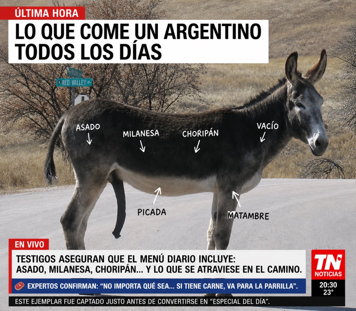 patas29372's tweet photo. @ElEinsteinLibre el arjenchico comiendoce el burro 🤣🤣🤣 https://t.co/O6XbplWkhp