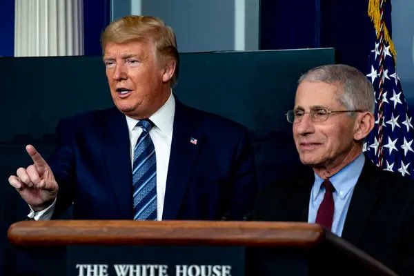 OliviaFLNative's tweet photo. If anyone tries to tell you Trump is not accountable for the Covid policy mess that disrupted everyone’s lives, hurt many, including many deaths, that the weak little president was lied to, remember this:

Drs. Bhattacharya, Ladapo, Atlas (WH Covid advisor), Kulldorff, and Meissner, met with Trump in August 2020 to discuss the Covid policies and share with him alternatives to what he was doing. Trump heard the truth and chose to ignore it. Trump’s choice makes him just as accountable as Fauci.