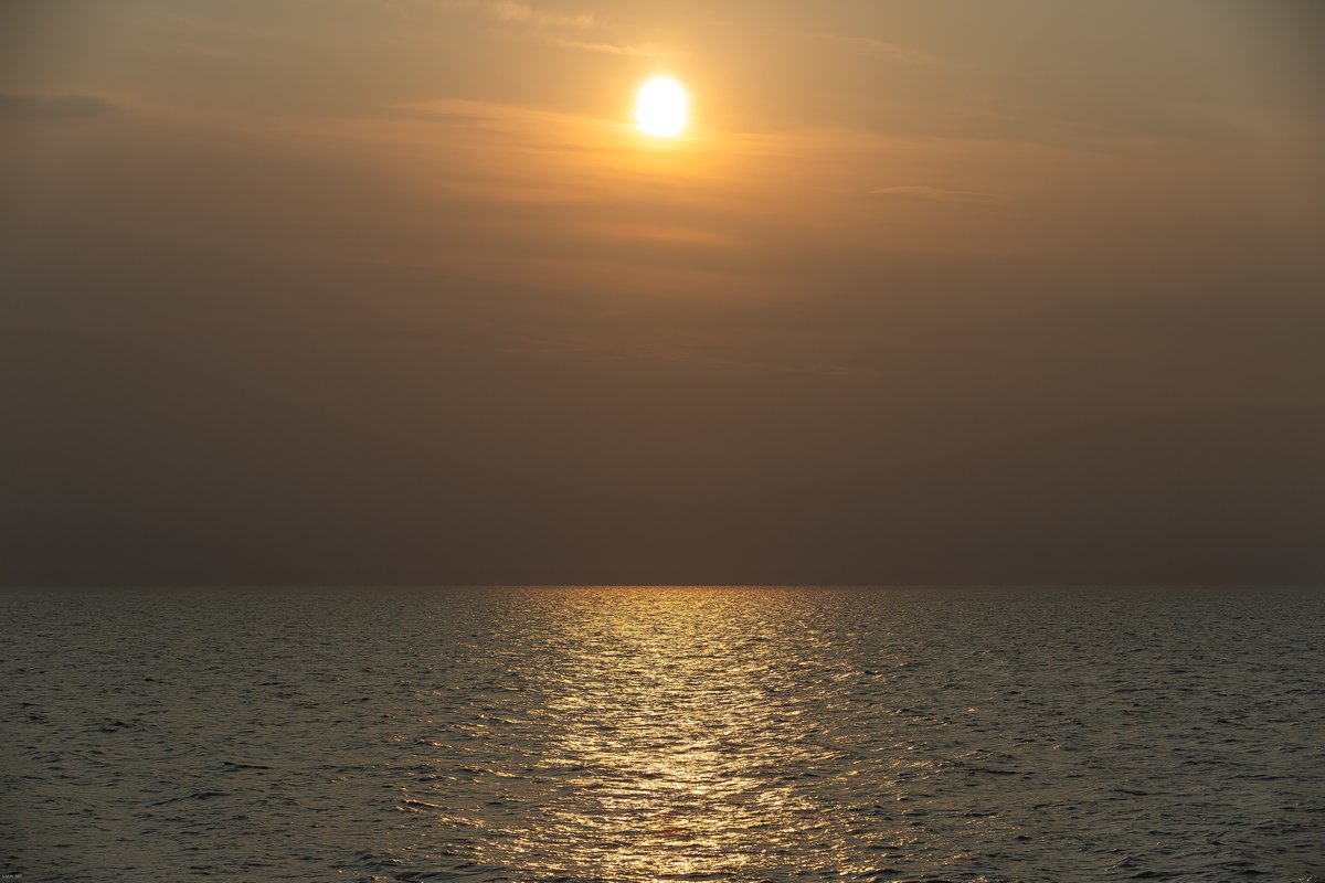 Havenlust's tweet photo. The two most powerful warriors are patience and time.

Leo Tolstoy https://t.co/IJcA2ouzpF